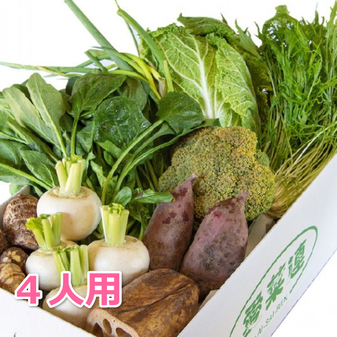 【新規の方限定】野菜おまかせパック（4人用）半額　　【クール便】