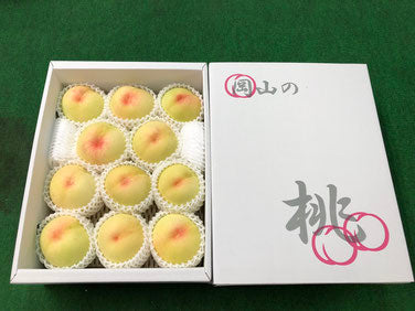 【送料無料キャンペーン】【家庭用】愛菜連の白桃(岡山県産)「晴れ未来」「白鳳」(9~11玉)【約3kg】