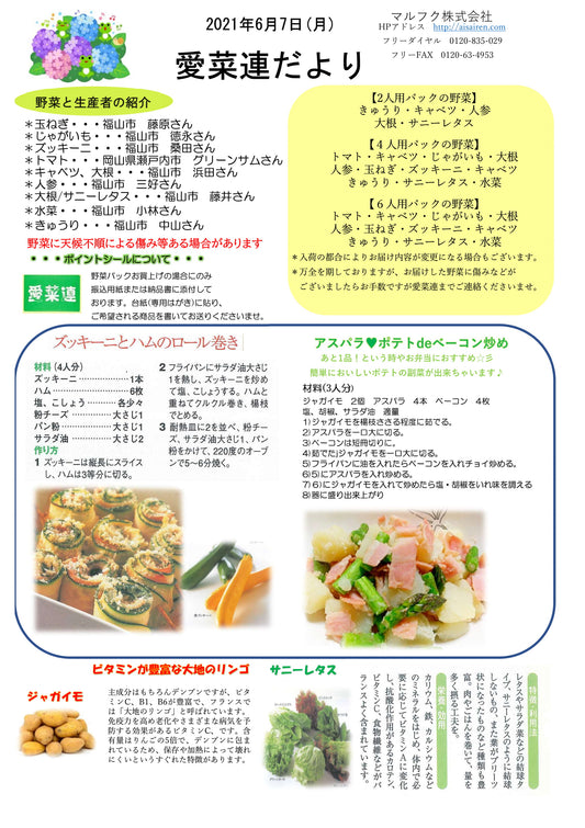 今週の愛菜連だよりです。