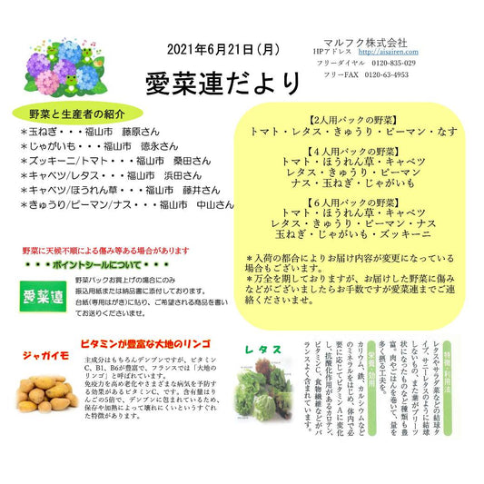 今週の愛菜連だよりと野菜パック（4人用）の内容です🎵