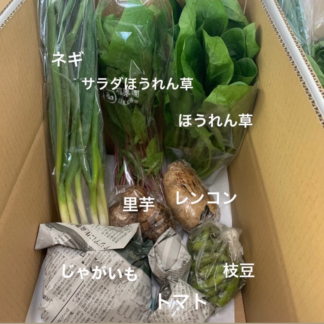 今週の愛菜連だよりと野菜パック（4人用）の様子を公開します♪