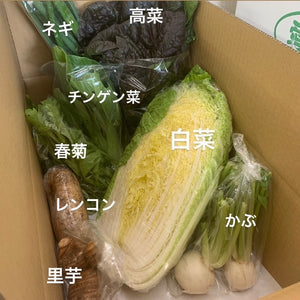 今週の愛菜連だより（WEB版）をお届けいたします♪