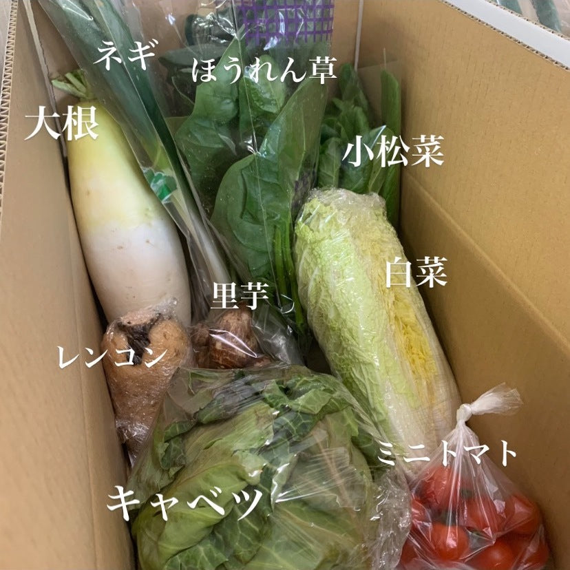 今週の愛菜連だよりをお届けいたします♪