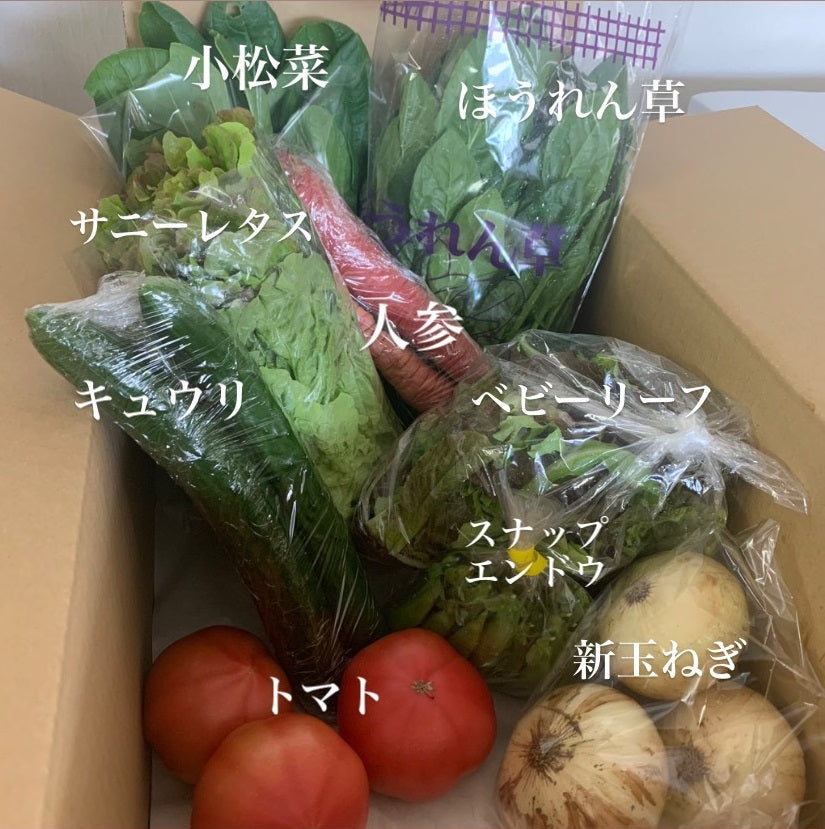 今週の愛菜連だよりをお届けいたします。