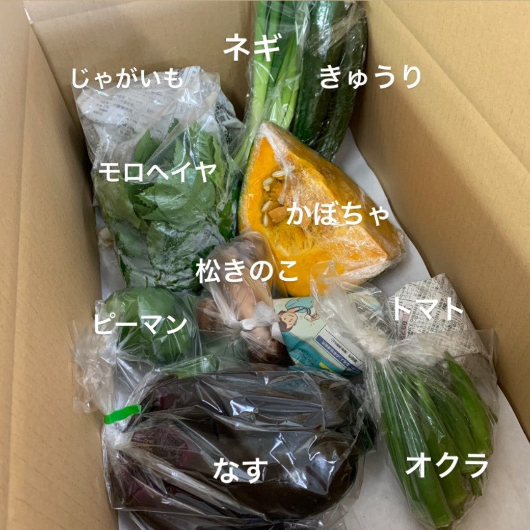 今週の愛菜連だよりと、野菜パックです🥬