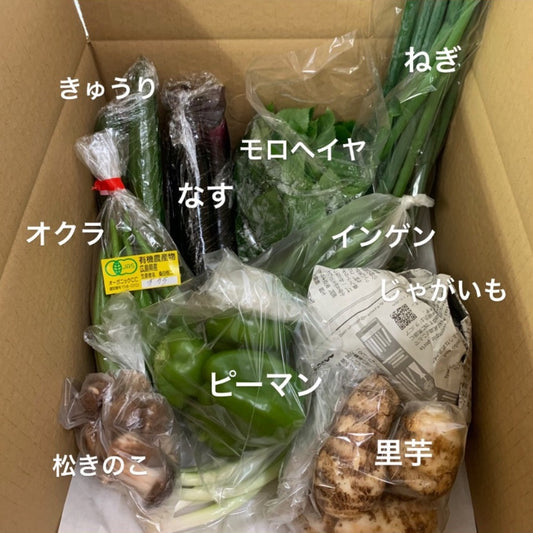 今週の愛菜連だよりと野菜パック（4人用）の様子です。