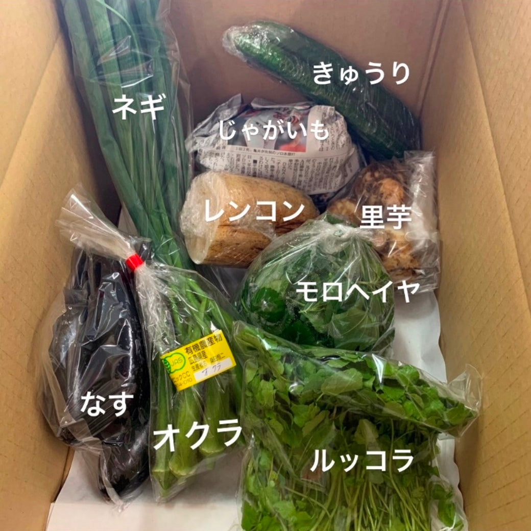 9/27号の愛菜連だよりと、野菜パック（4人用）の中身の公開写真になります。