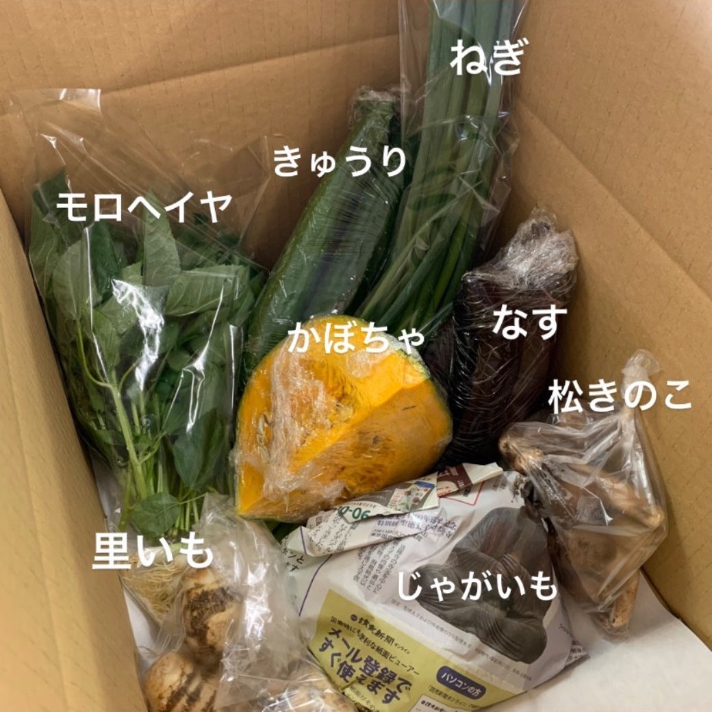 今週の愛菜連だより（WEB版）と、野菜パック（4人用）の様子になりまーす。