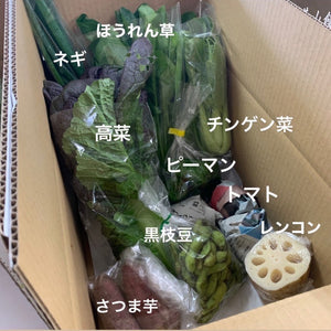 今週の愛菜連だよりと、野菜パックの中身を公開します♪