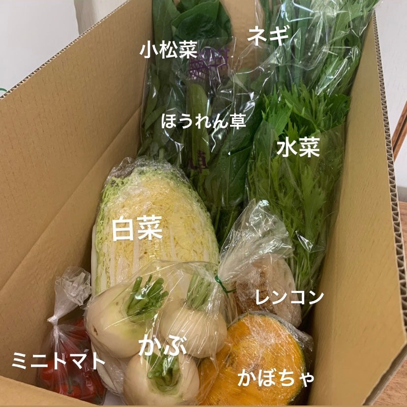 今週の愛菜連だよりをお届けいたします♪