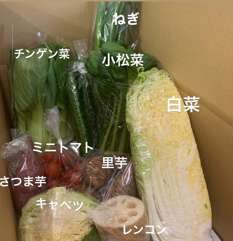 今週の愛菜連だよりをお届けいたします。
