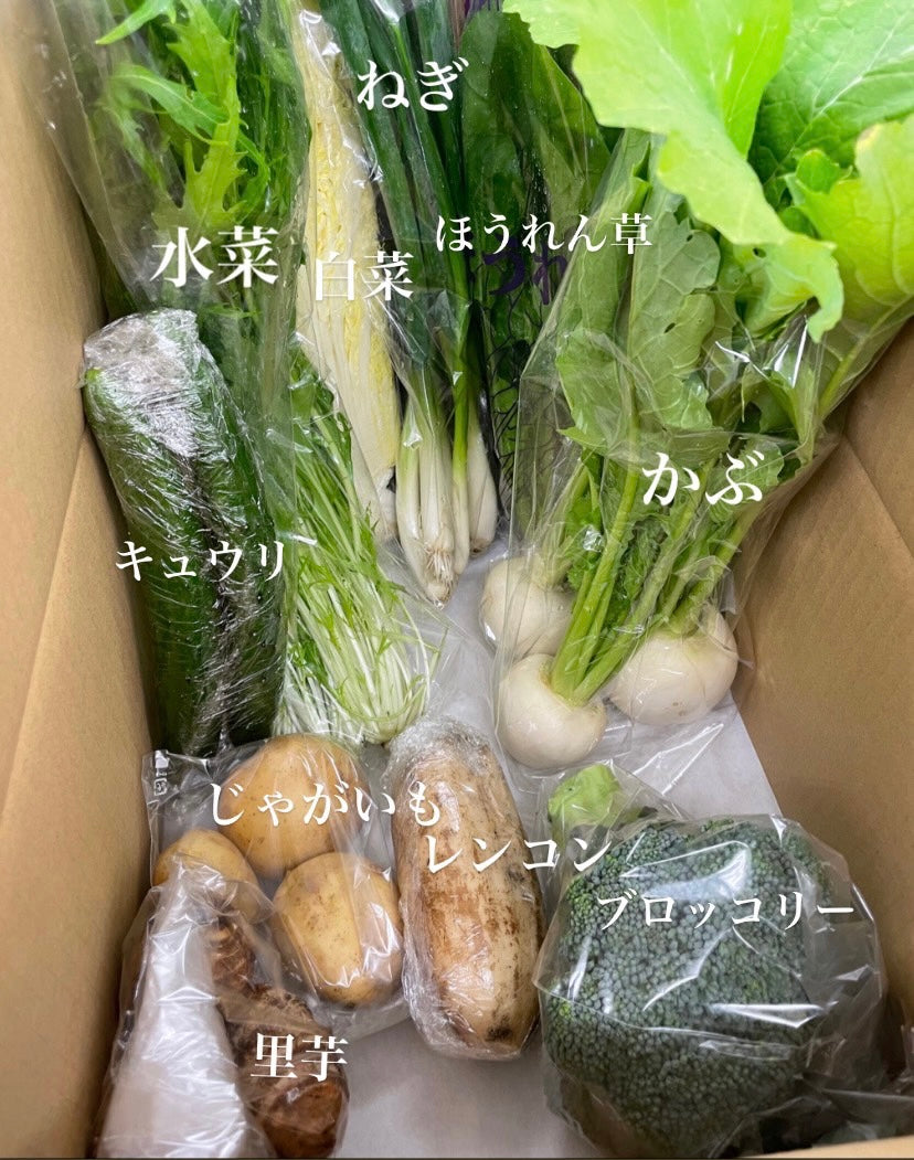 今週の愛菜連だよりをお届けいたします。