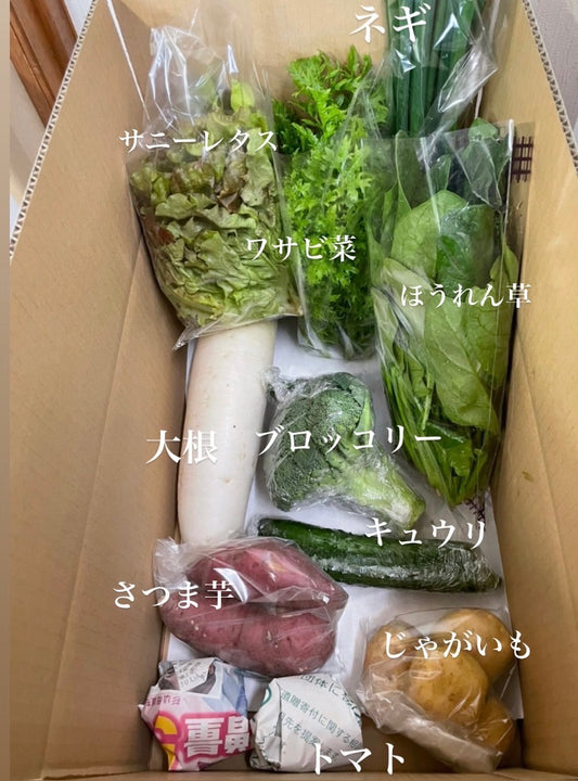 今週の愛菜連だよりをお届けいたします。