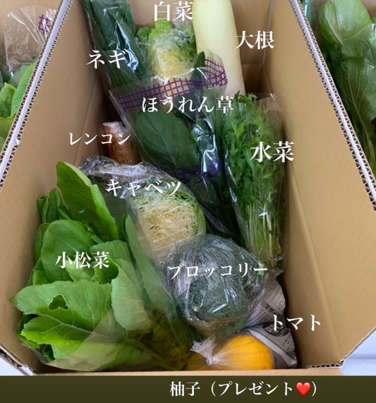 2021年最後の愛菜連だよりをお届けいたします。年始の野菜パックは、1/10発送からスタートです。