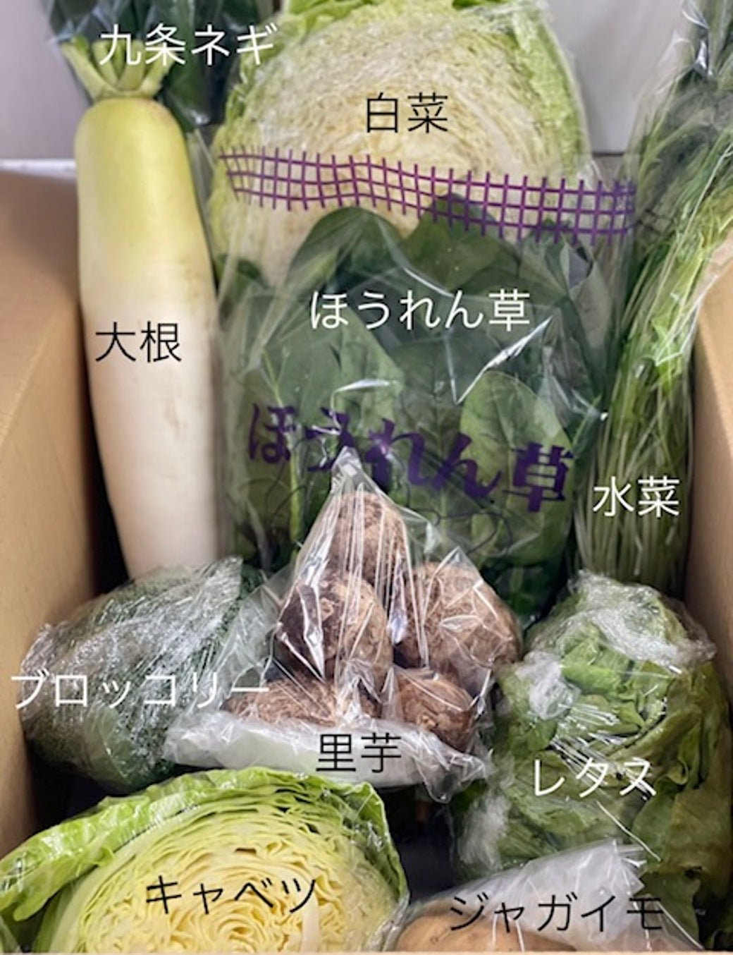 愛菜連だより1月10日号をお届けいたします。