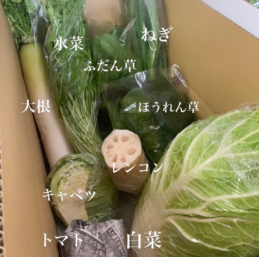 今週の愛菜連だよりをお届けいたします♪