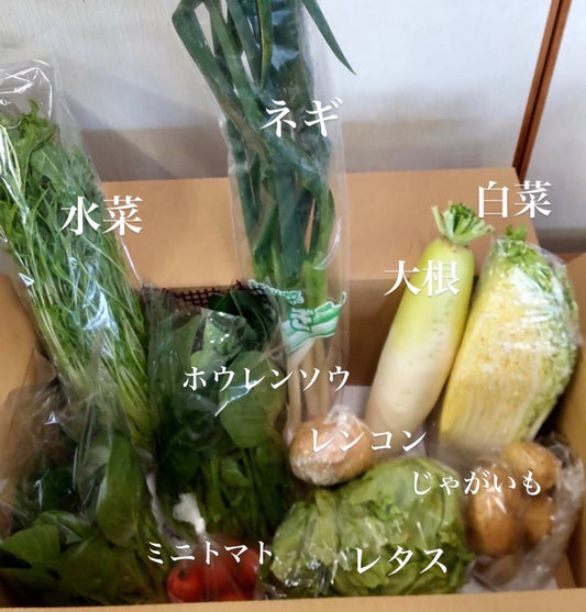 今週の愛菜連だよりをお届けいたします♪