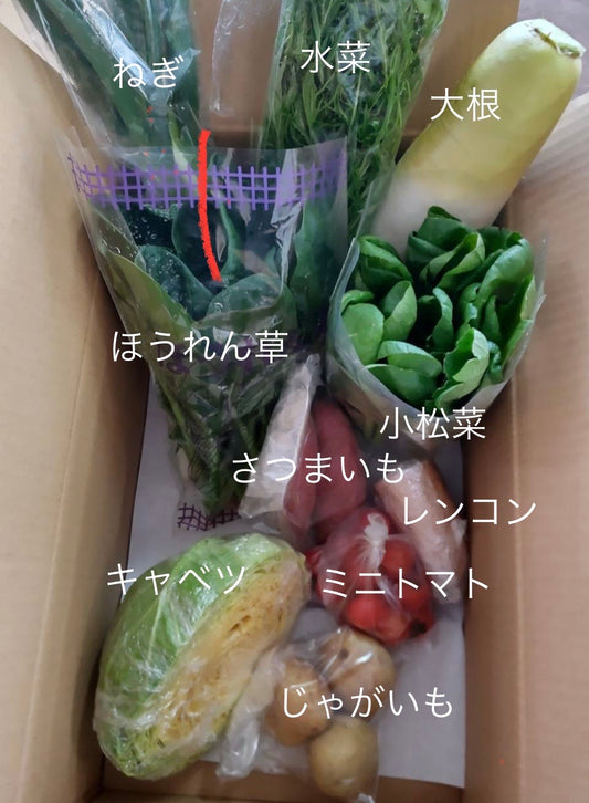 今週の愛菜連だよりをお届けします。