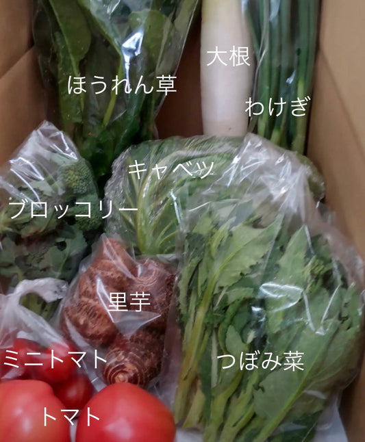 今週の愛菜連だよりをお届けいたします🥬