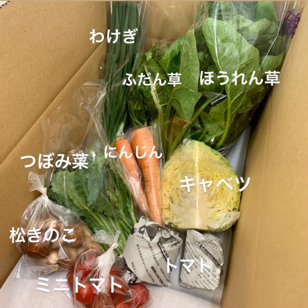 今週の愛菜連だよりをお届けいたします♪