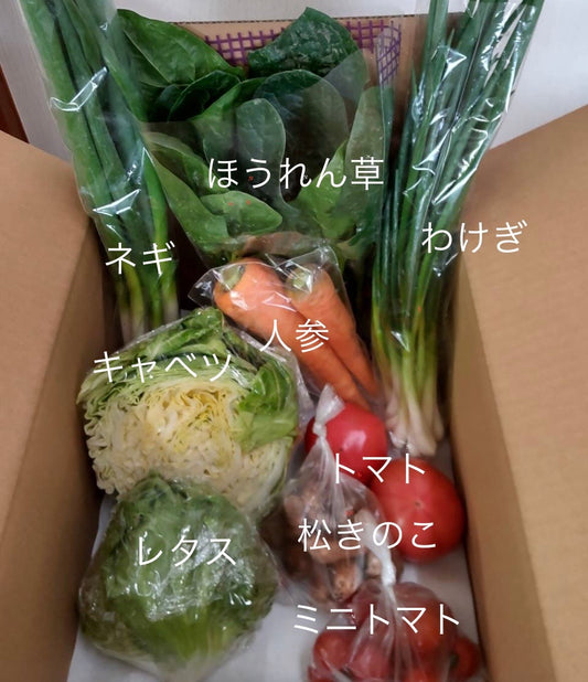 今週の愛菜連だよりをお届けいたします。