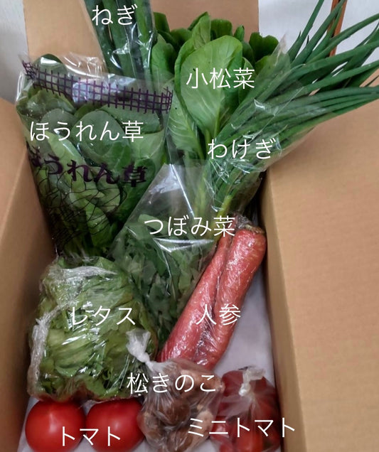 今週の愛菜連だよりをお届けいたします♪