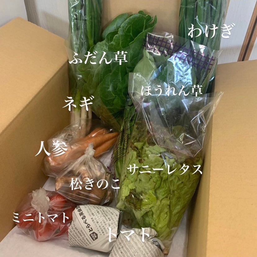 今週の愛菜連だよりをお届けいたします♪