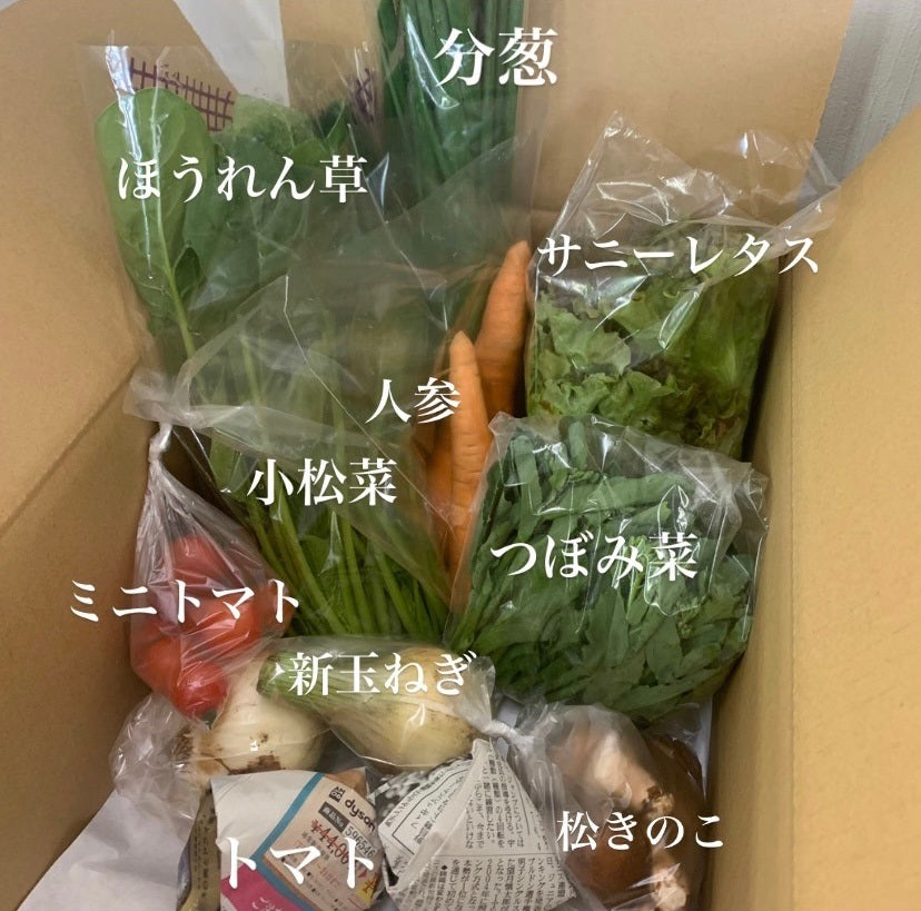 今週の愛菜連だよりをお届けいたします♪