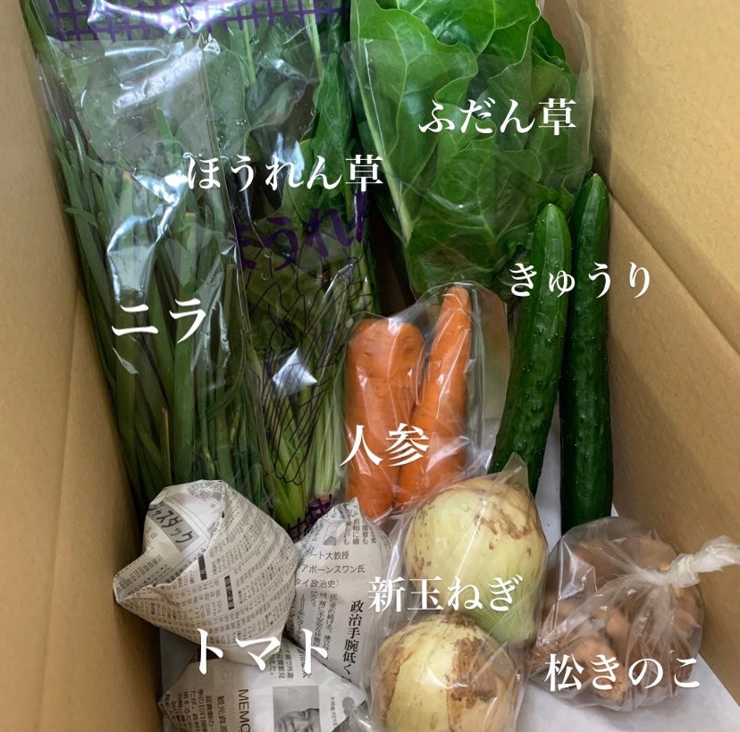 今週の愛菜連だよりをお届けいたします♪