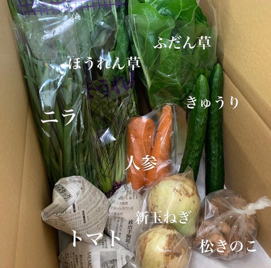 今週の愛菜連だよりをお届けいたします♪