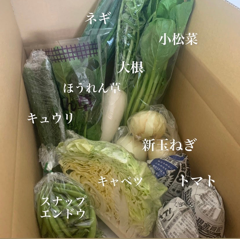 今週の愛菜連だよりをお届けいたします♪