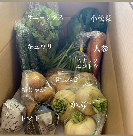今週の愛菜連だよりをお届けいたします♪