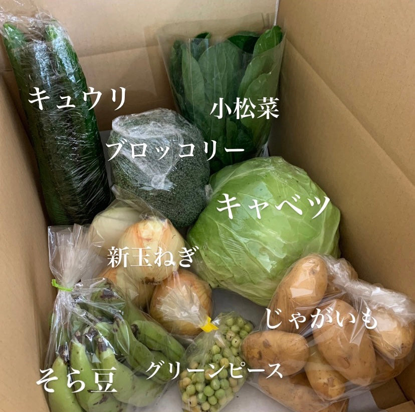 今週の愛菜連だよりをお届けいたします♪