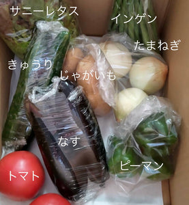 今週の愛菜連だよりをお届けいたします♪