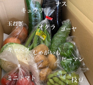 今週の愛菜連だよりをお届けいたします♪