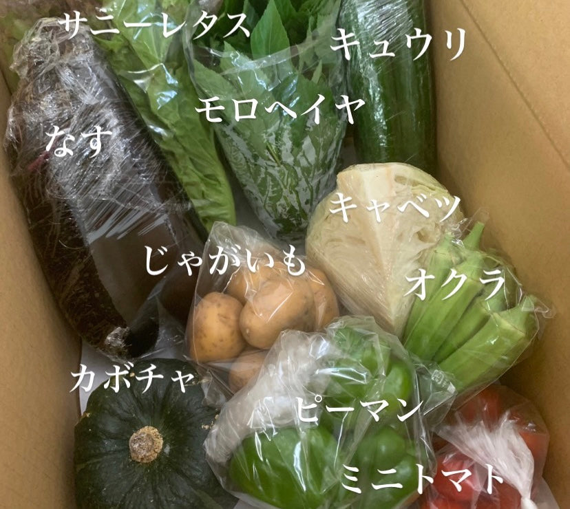 今週の愛菜連だよりをお届けいたします♪