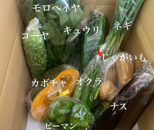 今週の愛菜連だよりをお届けいたします♪