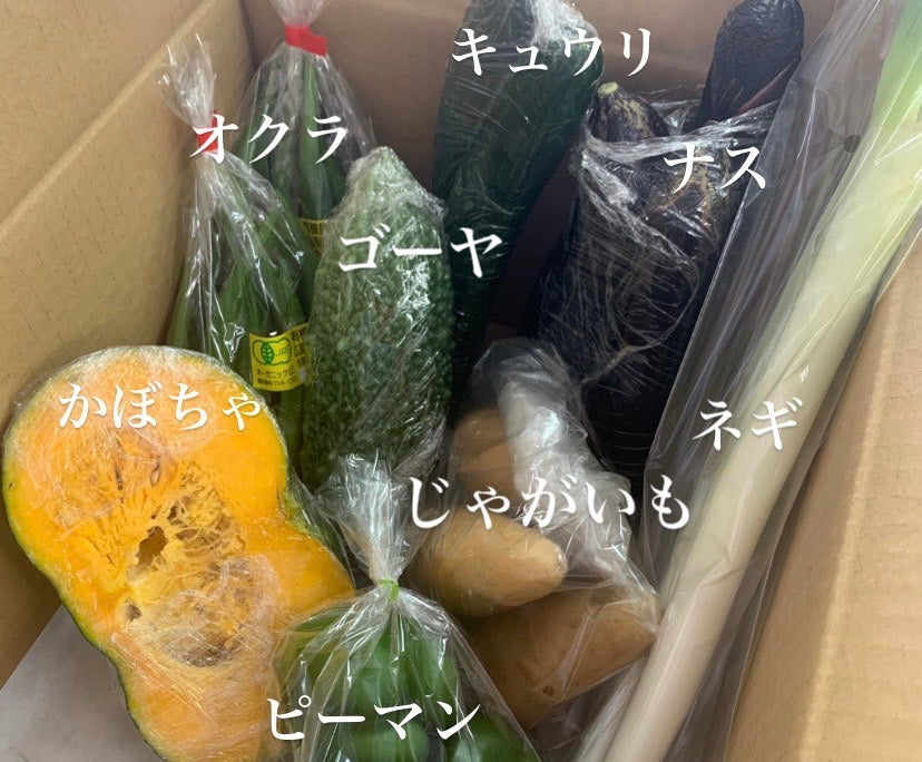 今週の愛菜連だよりをお届けいたします♪