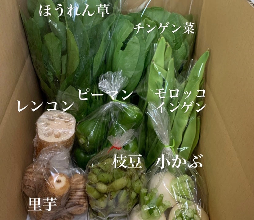 今週の愛菜連だよりをお届けいたします♪
