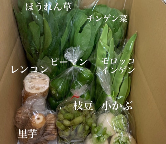 今週の愛菜連だよりをお届けいたします♪