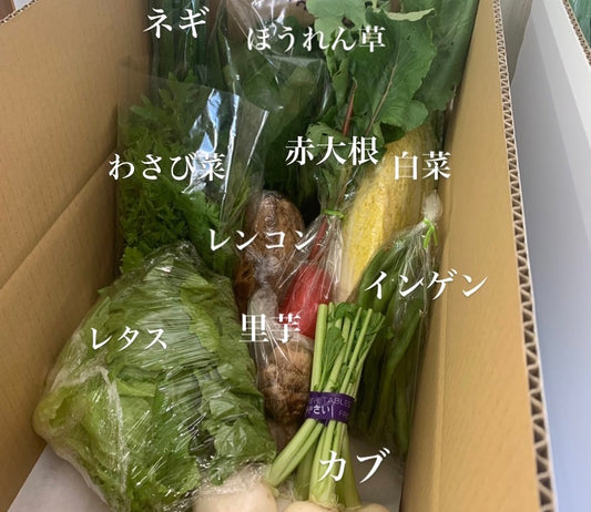 今週の愛菜連だよりをお届けいたします♪