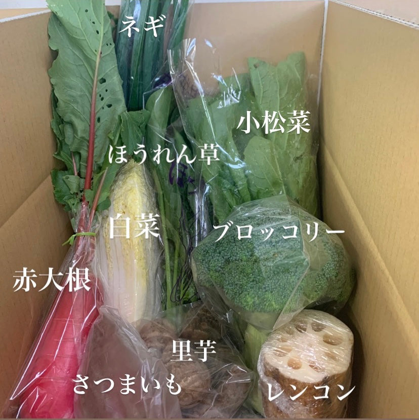 今週の愛菜連だよりをお届けいたします♪