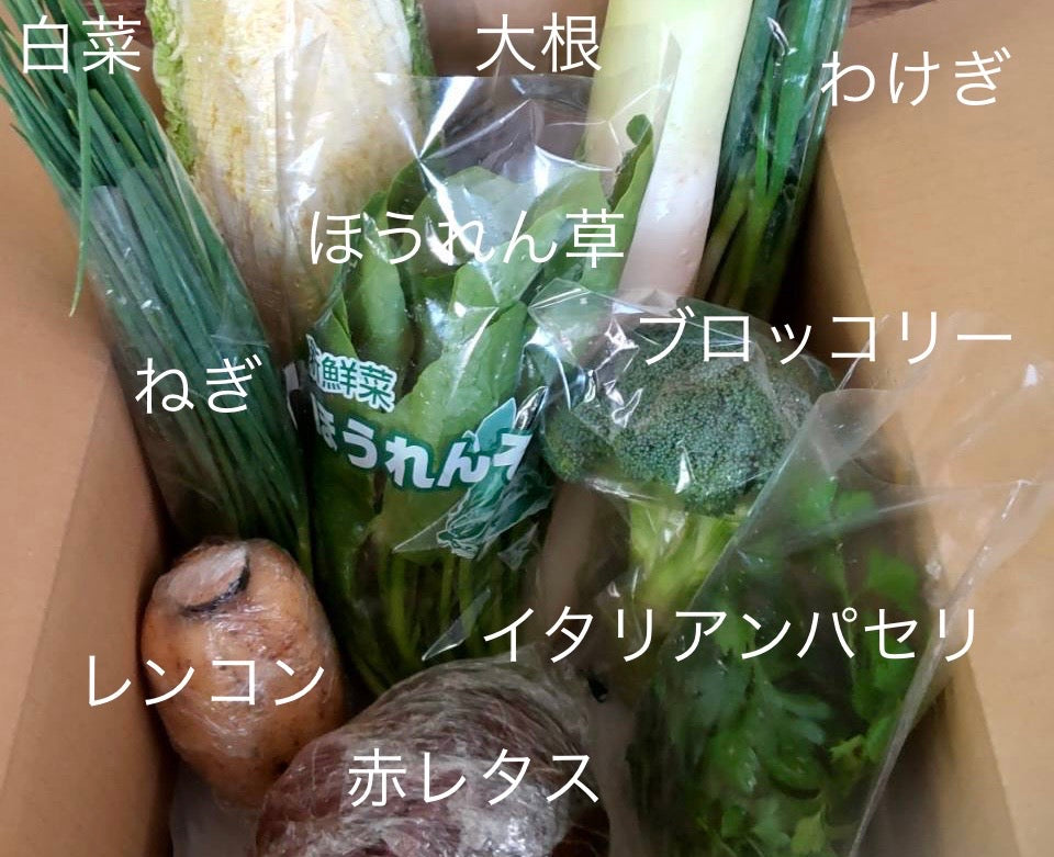 今週の愛菜連だよりをお届けいたします♪