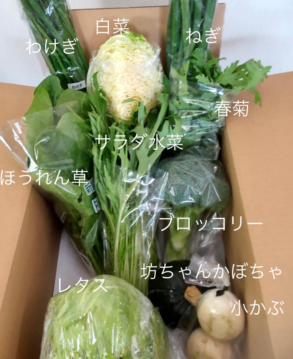 今週の愛菜連だよりをお届けいたします♪