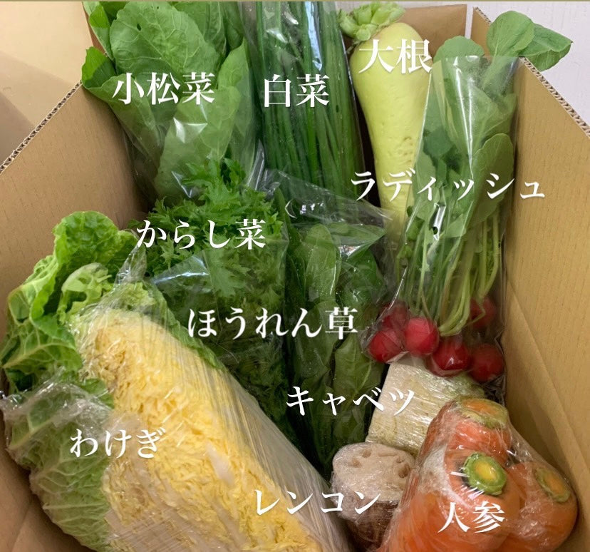 今週の愛菜連だよりをお届けいたします♪