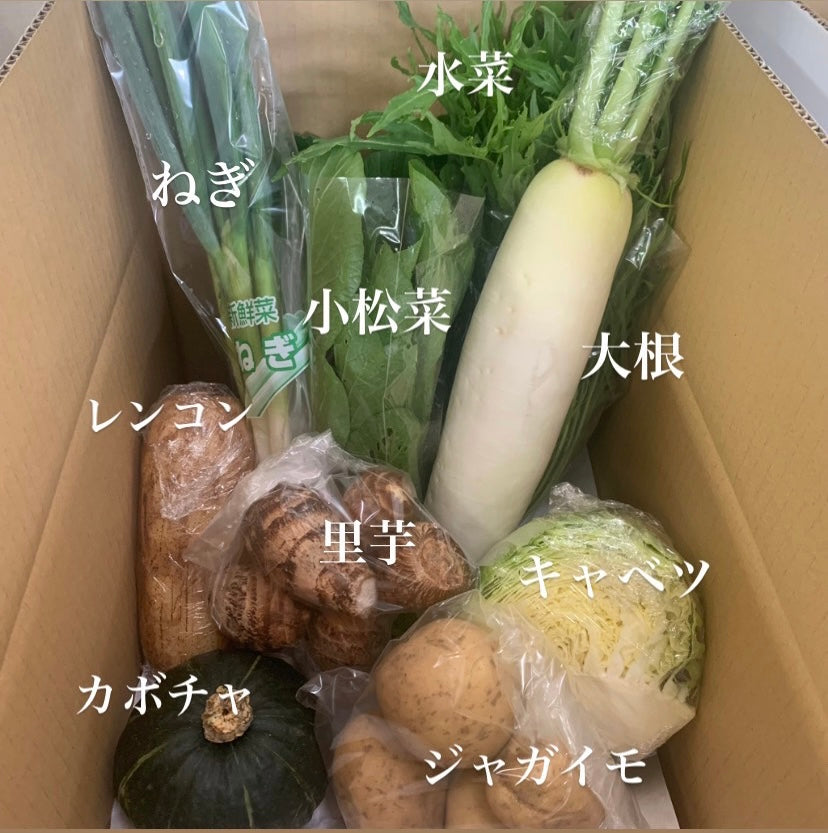 今週の愛菜連だよりをお届けいたします♪