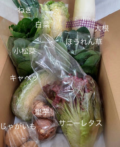 今週の愛菜連だよりをお届けいたします♪