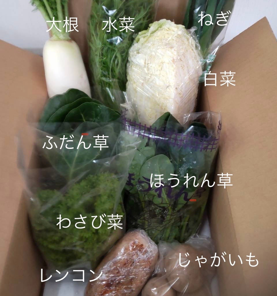 今週の愛菜連だよりをお届けいたします♪