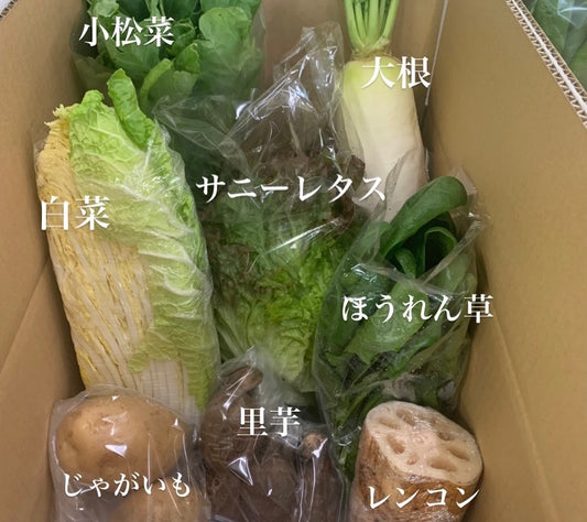 今週の愛菜連だよりをお届けいたします♪
