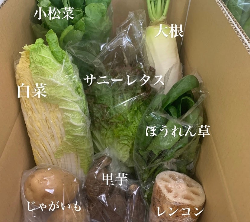 今週の愛菜連だよりをお届けいたします♪